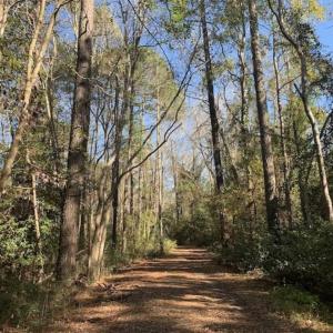Photo of UNDER CONTRACT!!  50 Acres of Recreational and Hunting Land for Sale in Cumberland County NC!