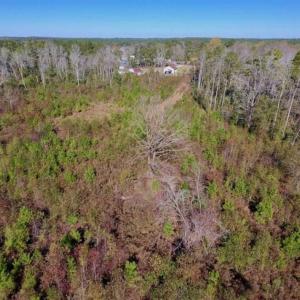 Photo of UNDER CONTRACT!!  50 Acres of Recreational and Hunting Land for Sale in Cumberland County NC!
