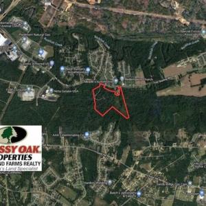 Photo of UNDER CONTRACT!!  50 Acres of Recreational and Hunting Land for Sale in Cumberland County NC!
