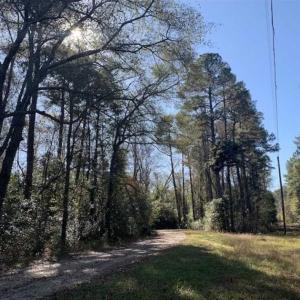 Photo of UNDER CONTRACT!!  50 Acres of Recreational and Hunting Land for Sale in Cumberland County NC!