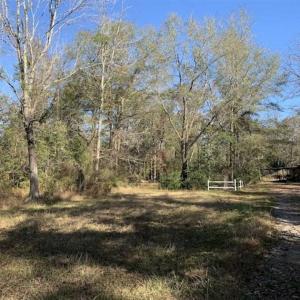 Photo of UNDER CONTRACT!!  50 Acres of Recreational and Hunting Land for Sale in Cumberland County NC!
