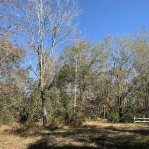 Photo of UNDER CONTRACT!!  50 Acres of Recreational and Hunting Land for Sale in Cumberland County NC!
