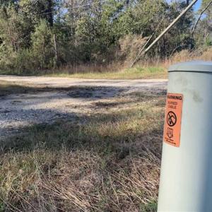 Photo of UNDER CONTRACT!!  50 Acres of Recreational and Hunting Land for Sale in Cumberland County NC!