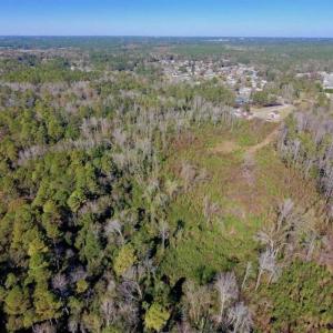 Photo of UNDER CONTRACT!!  50 Acres of Recreational and Hunting Land for Sale in Cumberland County NC!