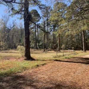 Photo of UNDER CONTRACT!!  50 Acres of Recreational and Hunting Land for Sale in Cumberland County NC!