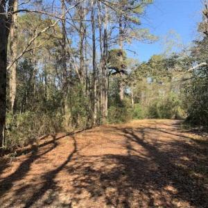 Photo of UNDER CONTRACT!!  50 Acres of Recreational and Hunting Land for Sale in Cumberland County NC!