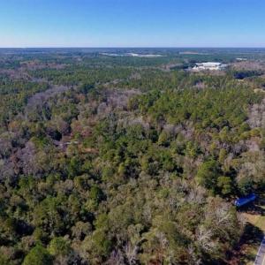 Photo of UNDER CONTRACT!!  50 Acres of Recreational and Hunting Land for Sale in Cumberland County NC!
