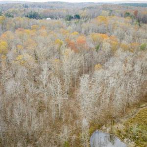 Photo of 9.28 +/-  acres of Building / Recreational Land for Sale in Person County, NC!