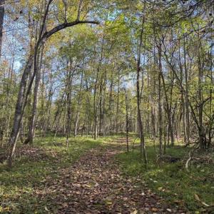 Photo of 9.28 +/-  acres of Building / Recreational Land for Sale in Person County, NC!