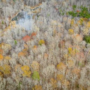 Photo of 9.28 +/-  acres of Building / Recreational Land for Sale in Person County, NC!