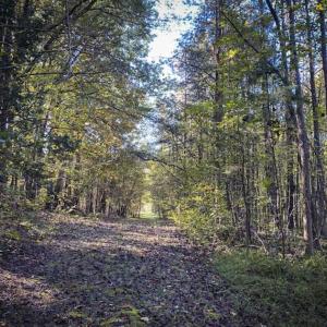 Photo of 9.28 +/-  acres of Building / Recreational Land for Sale in Person County, NC!