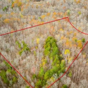 Photo of 9.28 +/-  acres of Building / Recreational Land for Sale in Person County, NC!