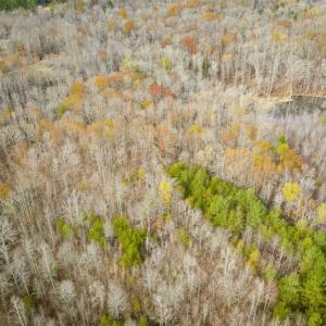 Photo of 9.28 +/-  acres of Building / Recreational Land for Sale in Person County, NC!