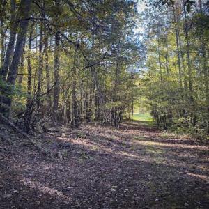Photo of 9.28 +/-  acres of Building / Recreational Land for Sale in Person County, NC!