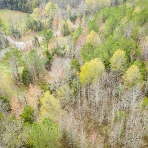 Photo of 9.28 +/-  acres of Building / Recreational Land for Sale in Person County, NC!