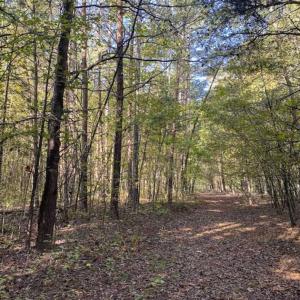 Photo of 9.28 +/-  acres of Building / Recreational Land for Sale in Person County, NC!
