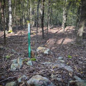 Photo of 9.28 +/-  acres of Building / Recreational Land for Sale in Person County, NC!