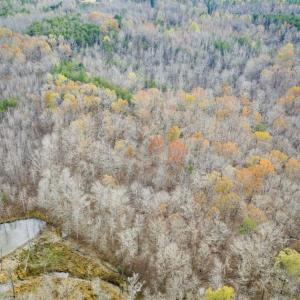 Photo of 9.28 +/-  acres of Building / Recreational Land for Sale in Person County, NC!