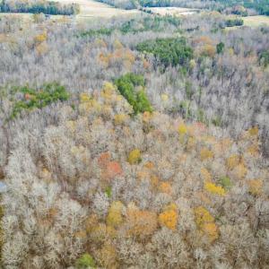 Photo of 9.28 +/-  acres of Building / Recreational Land for Sale in Person County, NC!