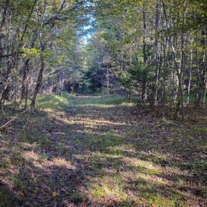 Photo of 9.28 +/-  acres of Building / Recreational Land for Sale in Person County, NC!