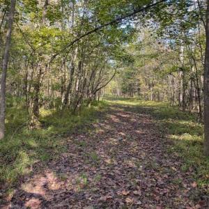 Photo of 9.28 +/-  acres of Building / Recreational Land for Sale in Person County, NC!