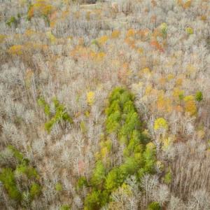 Photo of 9.28 +/-  acres of Building / Recreational Land for Sale in Person County, NC!