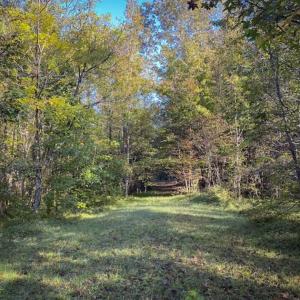 Photo of 9.28 +/-  acres of Building / Recreational Land for Sale in Person County, NC!