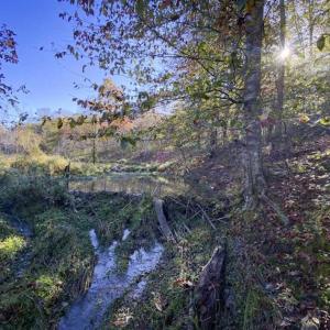 Photo of 9.28 +/-  acres of Building / Recreational Land for Sale in Person County, NC!