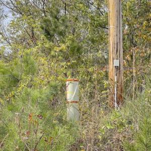 Photo of 9.28 +/-  acres of Building / Recreational Land for Sale in Person County, NC!