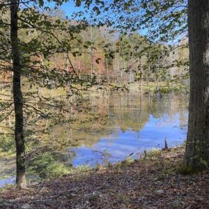 Photo of 9.28 +/-  acres of Building / Recreational Land for Sale in Person County, NC!
