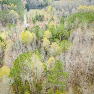 Photo of 9.28 +/-  acres of Building / Recreational Land for Sale in Person County, NC!