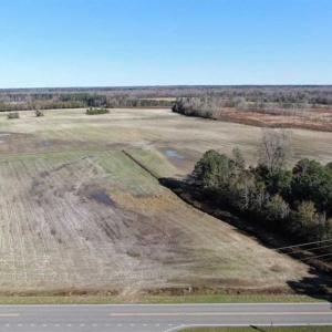 Photo of UNDER CONTRACT!!  146 acres of Timberland and Farmland For Sale in Robeson County, NC!