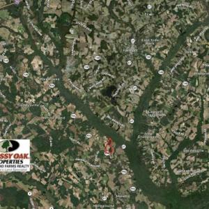 Photo of UNDER CONTRACT!!  146 acres of Timberland and Farmland For Sale in Robeson County, NC!