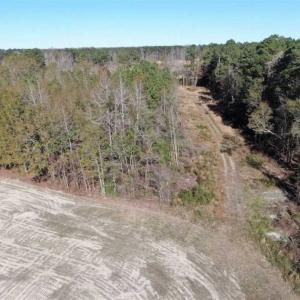 Photo of UNDER CONTRACT!!  146 acres of Timberland and Farmland For Sale in Robeson County, NC!