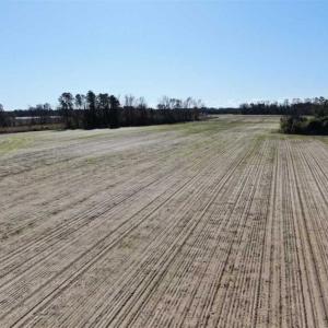 Photo of UNDER CONTRACT!!  146 acres of Timberland and Farmland For Sale in Robeson County, NC!