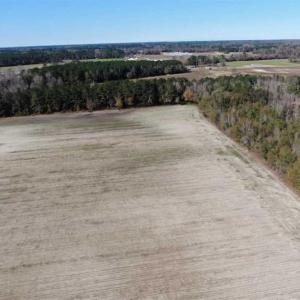 Photo of UNDER CONTRACT!!  146 acres of Timberland and Farmland For Sale in Robeson County, NC!
