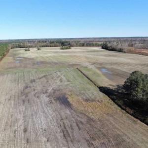 Photo of UNDER CONTRACT!!  146 acres of Timberland and Farmland For Sale in Robeson County, NC!