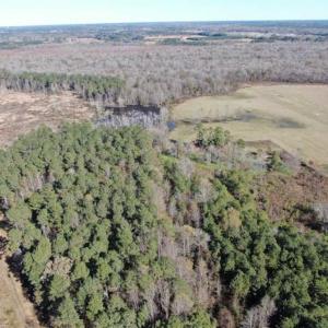 Photo of UNDER CONTRACT!!  146 acres of Timberland and Farmland For Sale in Robeson County, NC!