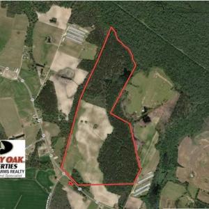 Photo of UNDER CONTRACT!!  146 acres of Timberland and Farmland For Sale in Robeson County, NC!