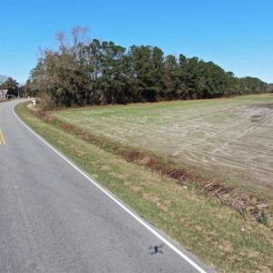 Photo of UNDER CONTRACT!!  146 acres of Timberland and Farmland For Sale in Robeson County, NC!