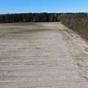 Photo of UNDER CONTRACT!!  146 acres of Timberland and Farmland For Sale in Robeson County, NC!