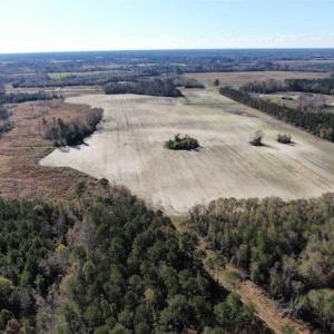 Photo of UNDER CONTRACT!!  146 acres of Timberland and Farmland For Sale in Robeson County, NC!
