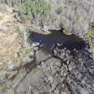 Photo of UNDER CONTRACT!!  146 acres of Timberland and Farmland For Sale in Robeson County, NC!