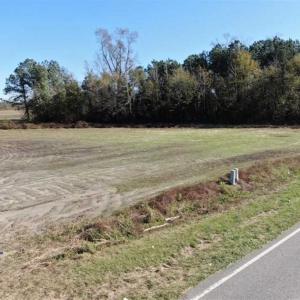 Photo of UNDER CONTRACT!!  146 acres of Timberland and Farmland For Sale in Robeson County, NC!