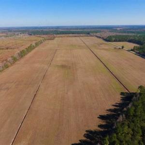 Photo of UNDER CONTRACT!!  100 Acres of Farmland, Timberland, and Hunting Land For Sale in Jones County NC!