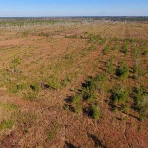 Photo of UNDER CONTRACT!!  100 Acres of Farmland, Timberland, and Hunting Land For Sale in Jones County NC!
