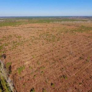 Photo of UNDER CONTRACT!!  100 Acres of Farmland, Timberland, and Hunting Land For Sale in Jones County NC!