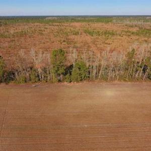Photo of UNDER CONTRACT!!  100 Acres of Farmland, Timberland, and Hunting Land For Sale in Jones County NC!