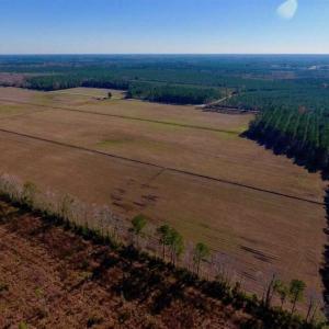 Photo of UNDER CONTRACT!!  100 Acres of Farmland, Timberland, and Hunting Land For Sale in Jones County NC!
