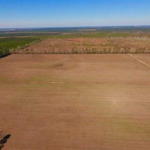 Photo of UNDER CONTRACT!!  100 Acres of Farmland, Timberland, and Hunting Land For Sale in Jones County NC!